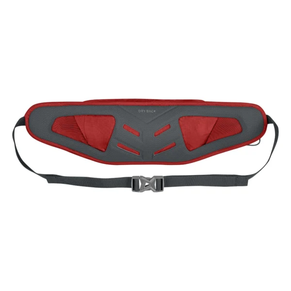 کیف کمری سالیوا Salewa Lite Train Hipblet - 2